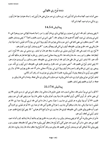 The Story of Noah-Marwari-S.pdf